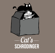 Cat's Shchrodinger.png