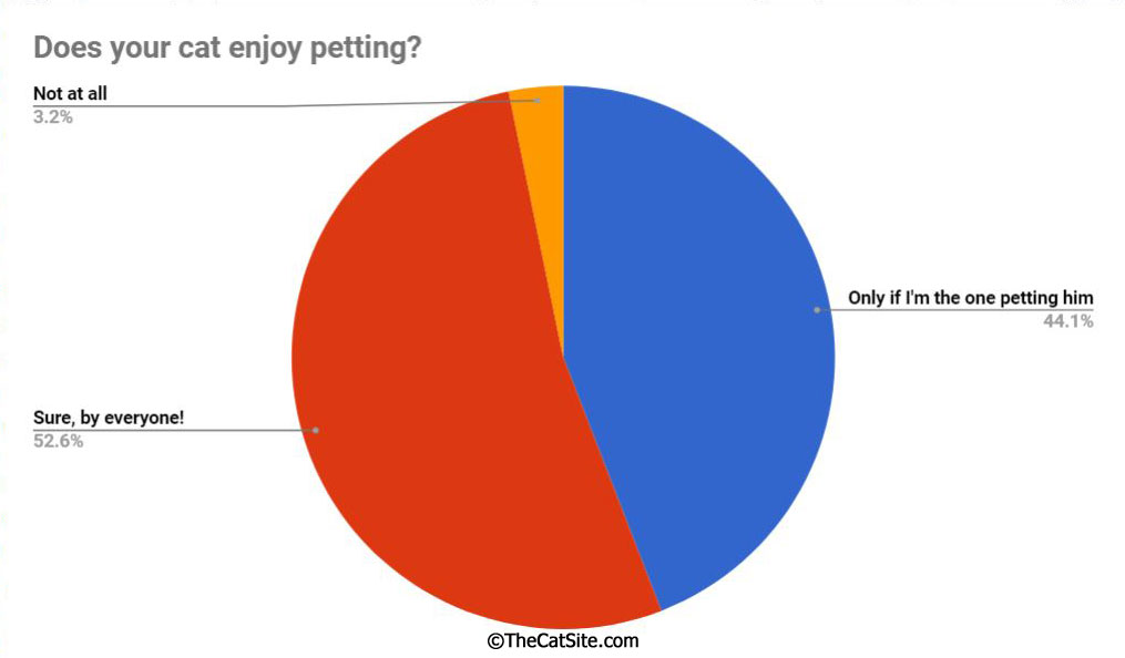 Grafik yang menunjukkan hasil survei yang kami lakukan di TheCatSite, menanyakan pemilik kucing apakah kucing mereka senang dibelai