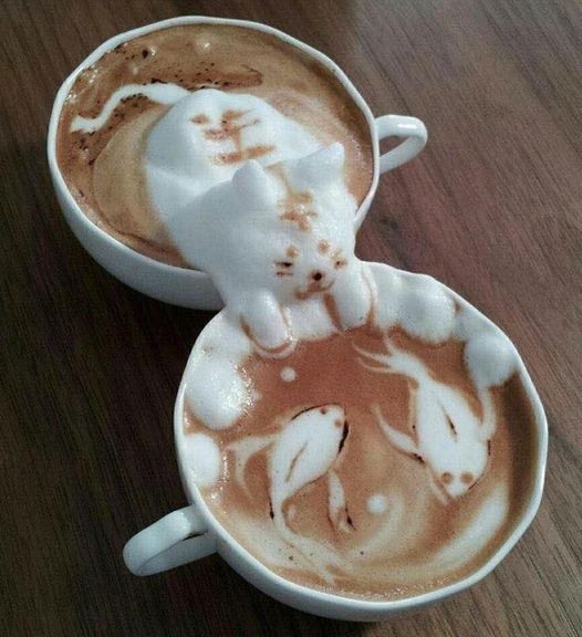 coffee cat.jpg