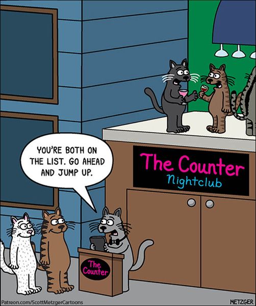 counternightclub.jpg