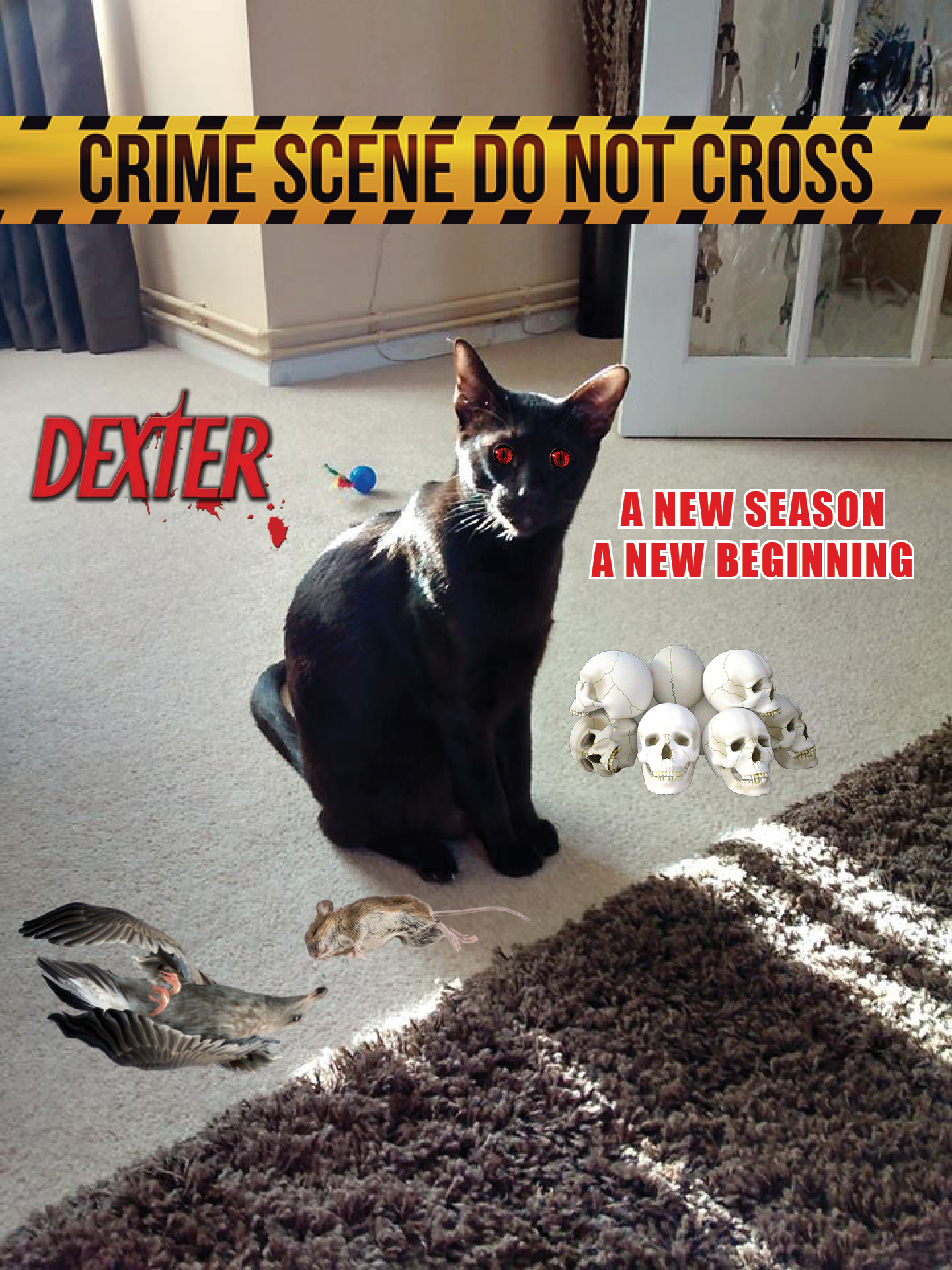 Dexter new season.jpg