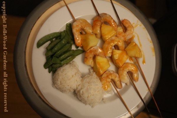 Dinner_2024-02_shrimp skewers.jpg