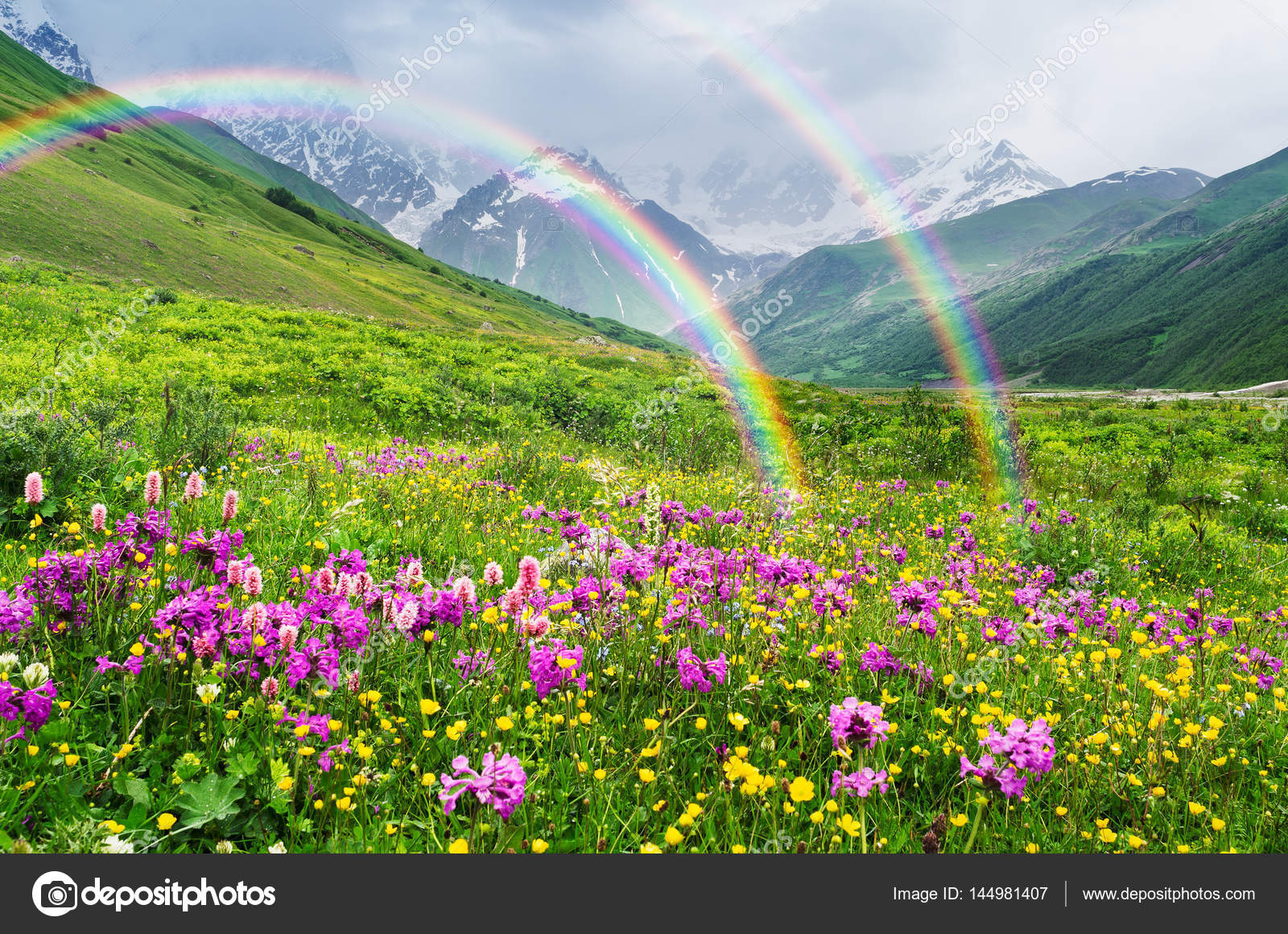 Double Rainbow & FLowers.jpg