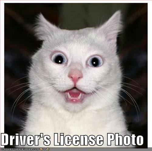 driver's license.jpg