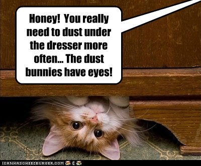 dust bunnies.jpg