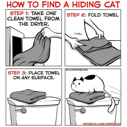 finding the cat.png