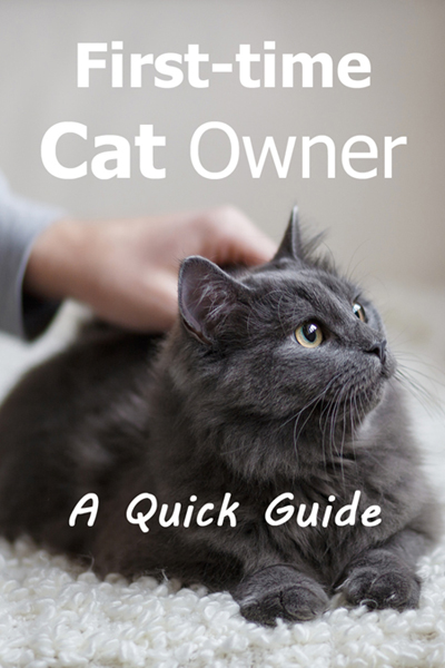 First Time Cat Owner Guide: Wondering what having a cat is like? Read this before you adopt to get a better sense of what cats are like and what you'll need to do as a cat owner.