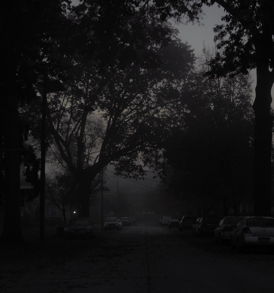 foggy morning.jpg