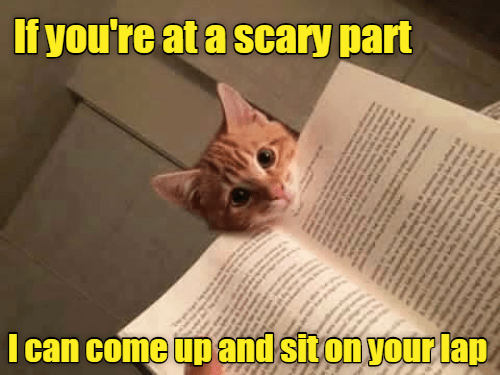 funny-and-sweet-cat-that-is-offering-to-sit-on-your-lap-if-you-are-reading-a-scary-part-of-the...png