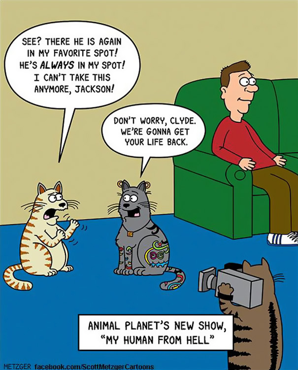 funny-cat-comics-scott-metzger-cartoons-23-5b0eb1a4cfb03__605.jpg