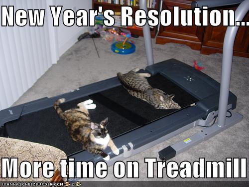 funny-cat-new-year.jpg