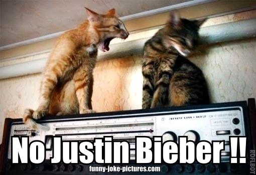 funny-no-justin-bieber-angry-cat.jpg