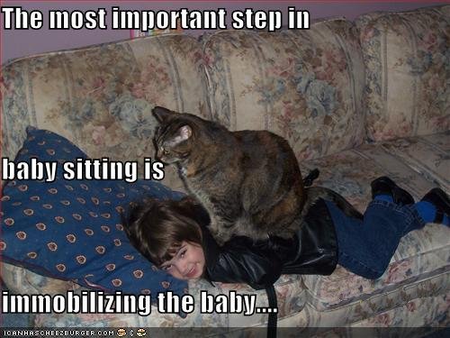 funny-pictures-cat-babysits-on-the-baby.jpg