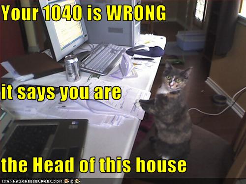 funny-pictures-cat-does-your-taxes.jpg