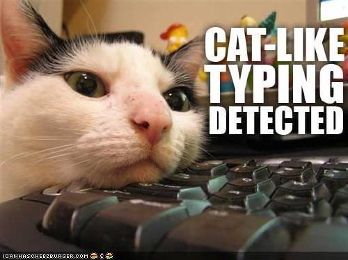 funny-pictures-catlike-typing-is-detected.jpg