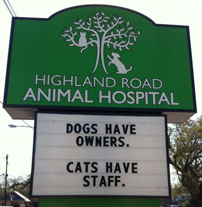 funny-veterinarian-signs-2.jpg
