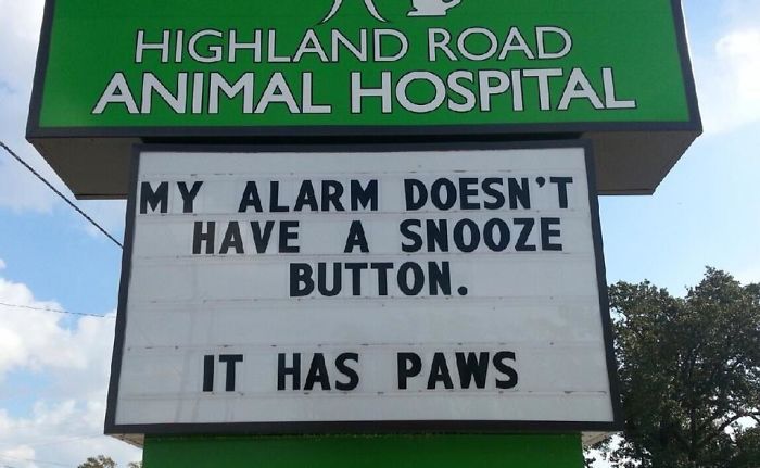 funny-veterinarian-signs-3.jpg