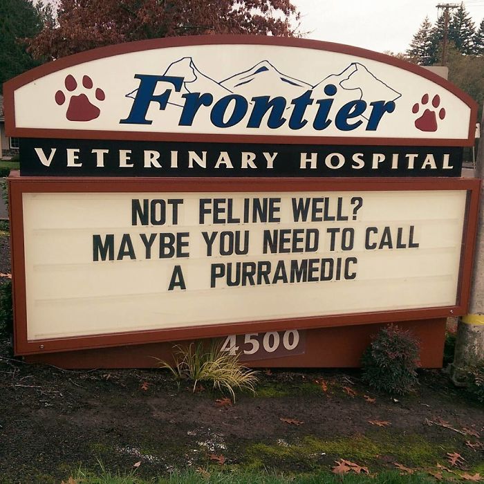 funny-veterinarian-signs-6.jpg