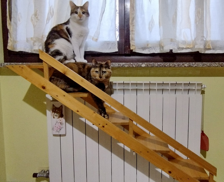 Giada and Freya on stair.jpg