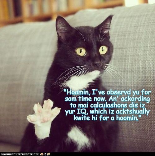 good-news-for-kitties-human.jpg