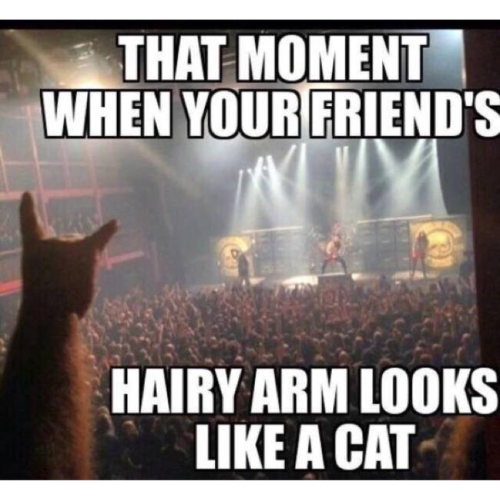 hairy arm looks like cat.png