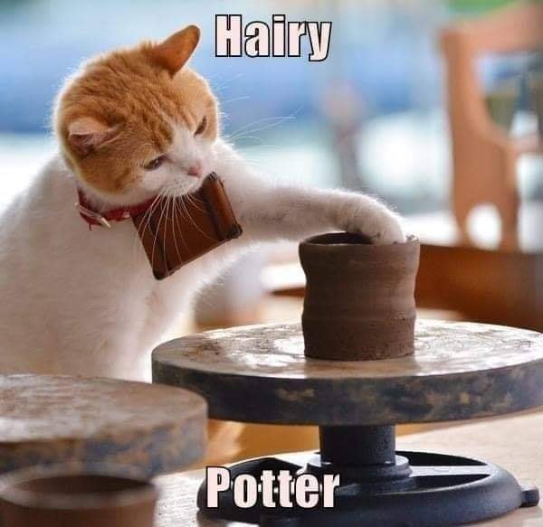 hairy potter.jpg