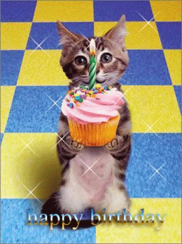 happy-birthday-cat-cat.gif