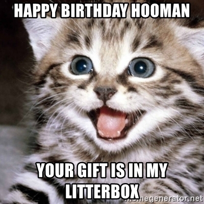 happy-birthday-hooman-your-gift-is-in-my-litterbox.jpg