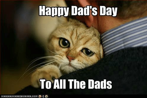 happy-dads-day-to-all-the-dads-icanhascheezeurger-com-happy-fathers-23241714 (2).jpg