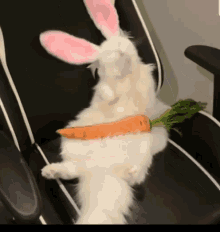 happy-easter-bunny.gif