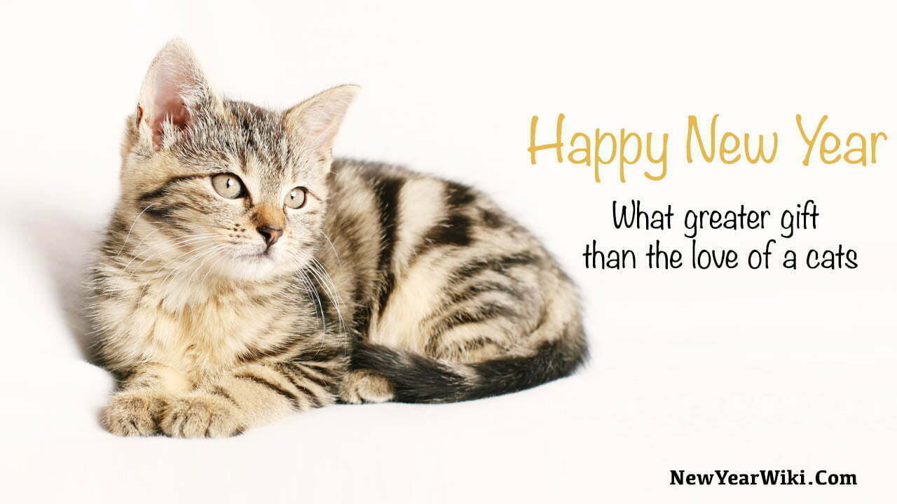 happy-new-year-kitten-images.jpg