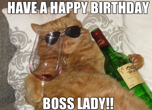 have-a-happy-birthday-funny-cat-meme.jpg