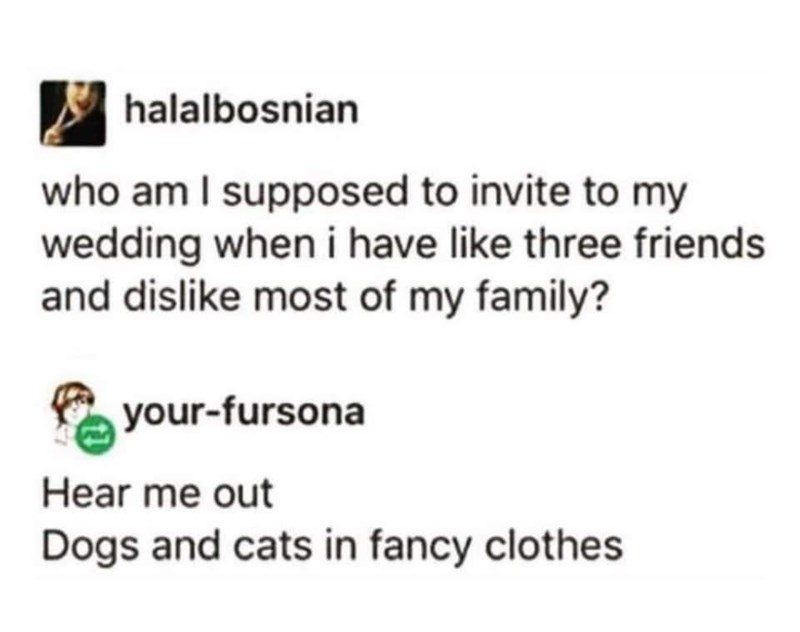 have-like-three-friends-and-dislike-most-my-family-fursona-hear-out-dogs-and-cats-fancy-clothes.jpeg