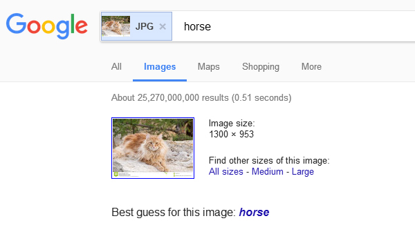 HORSE01.JPG