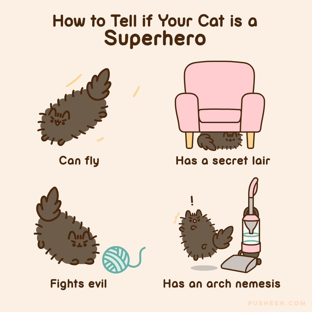 How_to_tell_if_your_cat_is_a_Superhero.gif