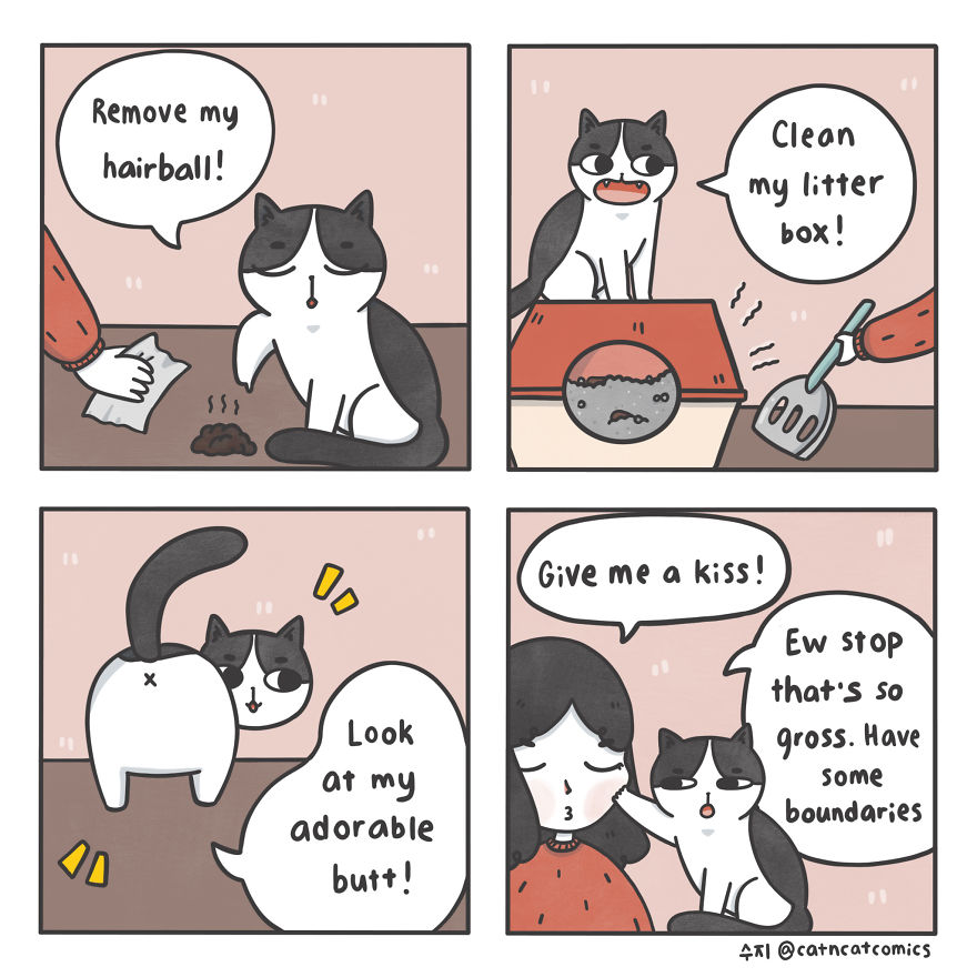 I-Made-a-Cozy-Comic-Series-of-My-Two-Rescue-Cats-and-a-Human-Who-Can-Understand-Cat-Speak-5cc7...jpg