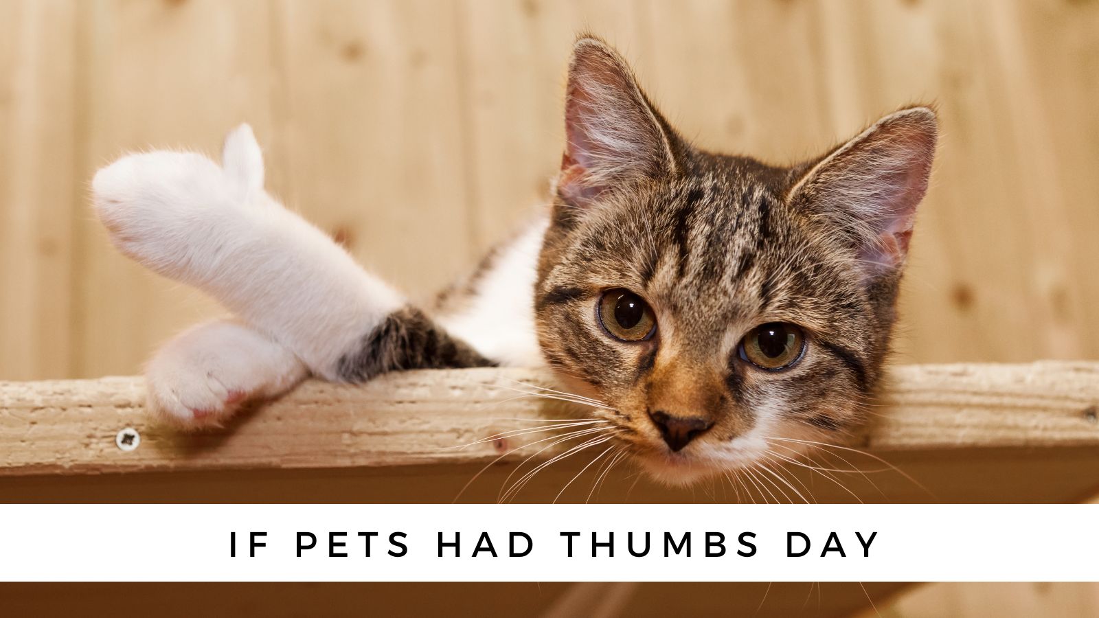 If-Pets-Had-Thumbs-Day.jpg