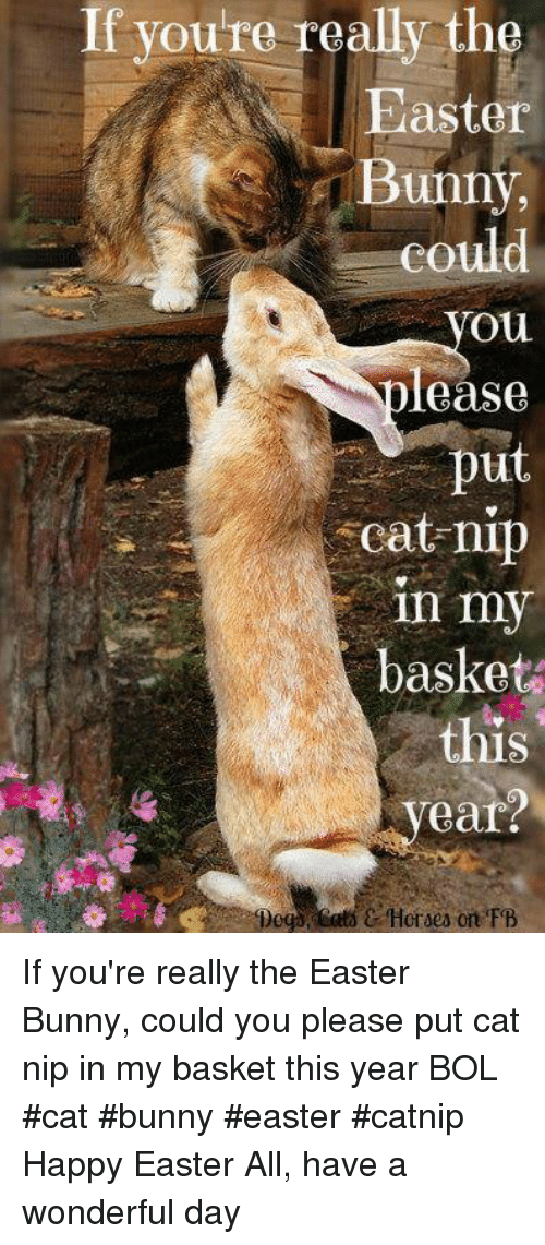 if-youre-really-the-easter-bunny-could-you-lease-put-20649700.png