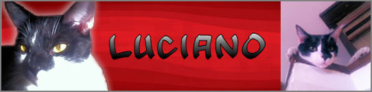 ileen Luciano red 2.jpg