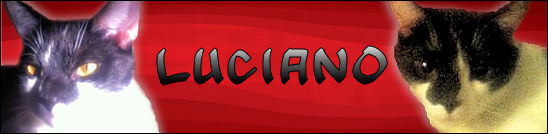 ileen Luciano red.jpg