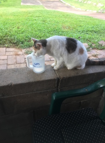 I'll have your water too.jpg