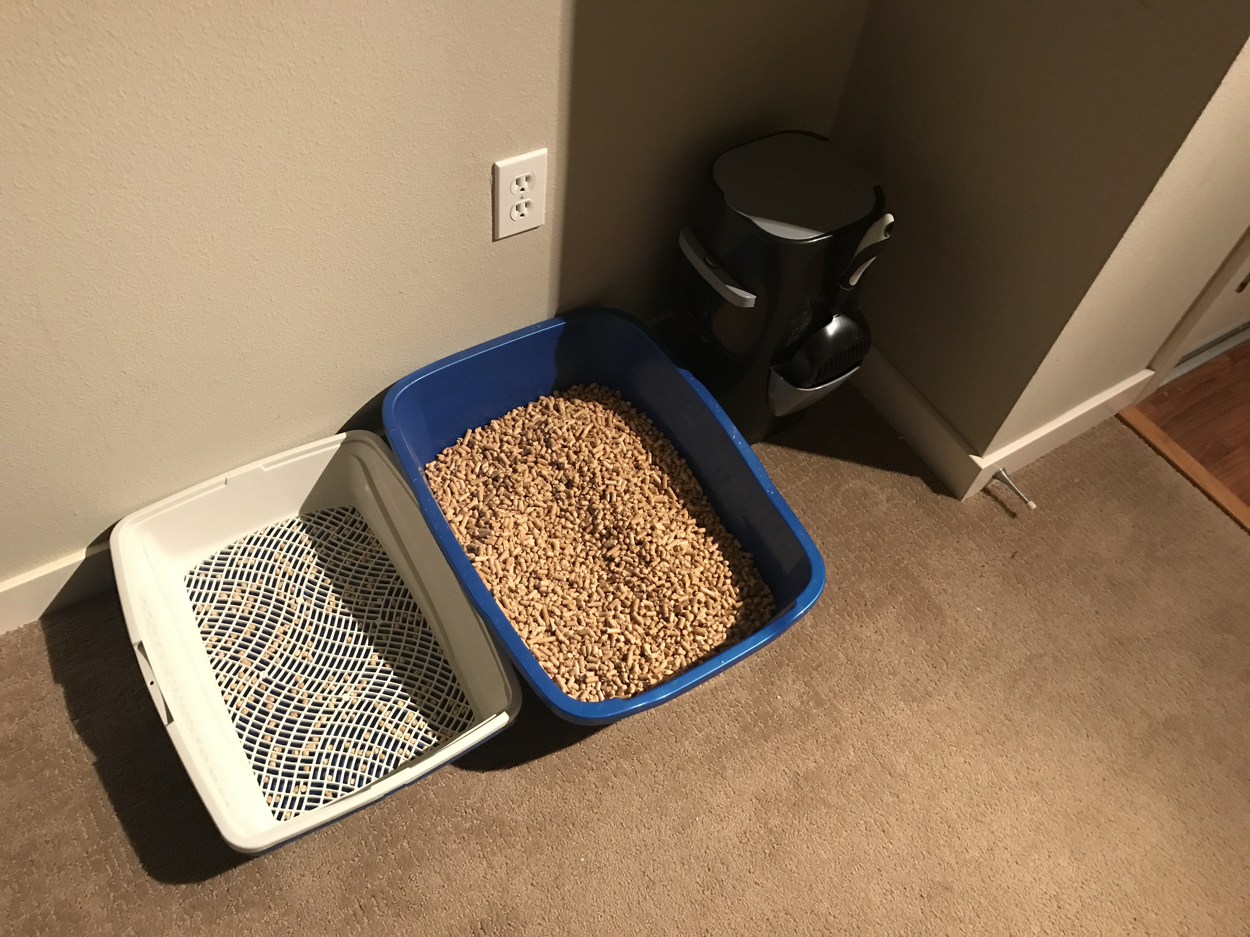 How To Clean Non-Clumping Litter  