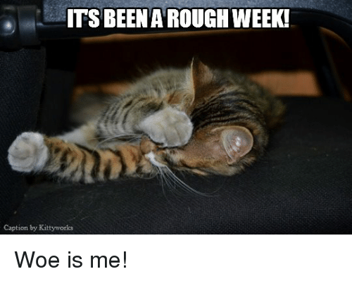 its-beena-rough-week-caption-by-kitty-works-woe-is-6880753.png