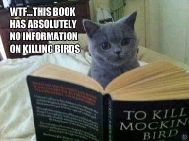 kill birds.jpg