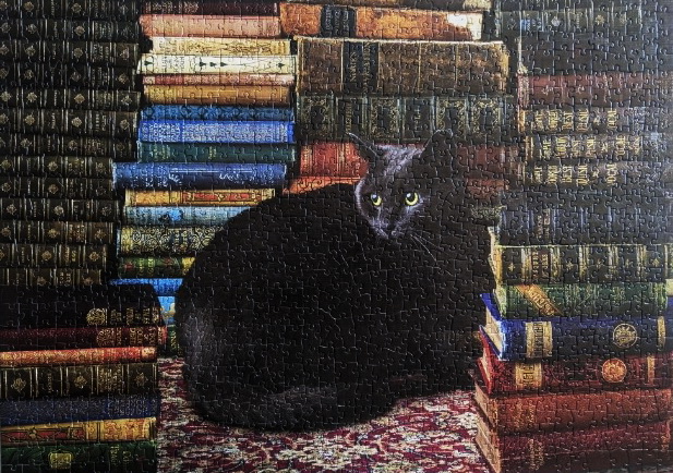 Library Cat.jpg