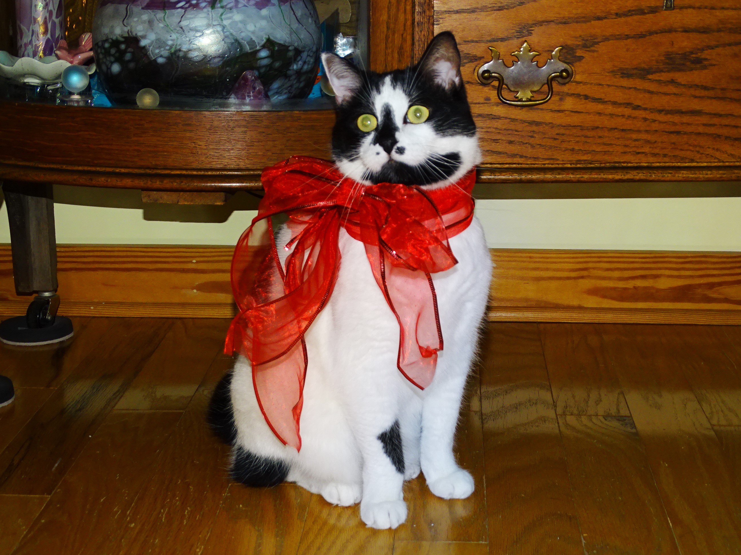 Lily and ribbon necklace Christmas 2019.JPG