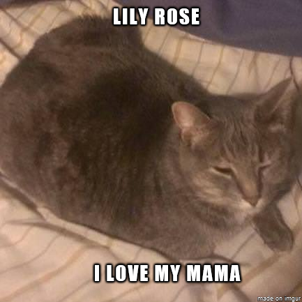 lily rose 5.png