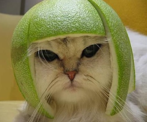 Lime Helmet.jpg