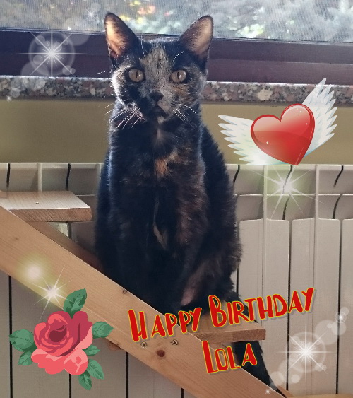 Lola_birthday.jpg