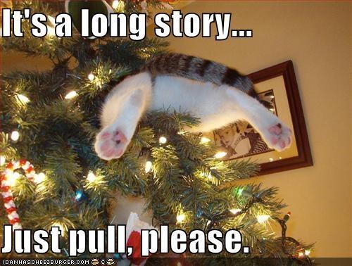 long-story-cat-in-a-christmas-tree.jpg
